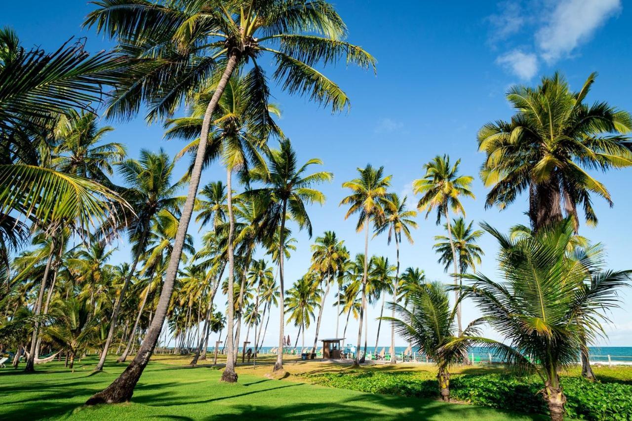 Paraiso Na Terra - Carneiros Beach Resort Tamandaré Esterno foto